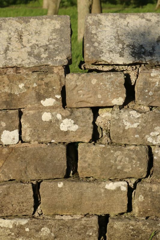 Stone Wall Repair in Gillette, NJ